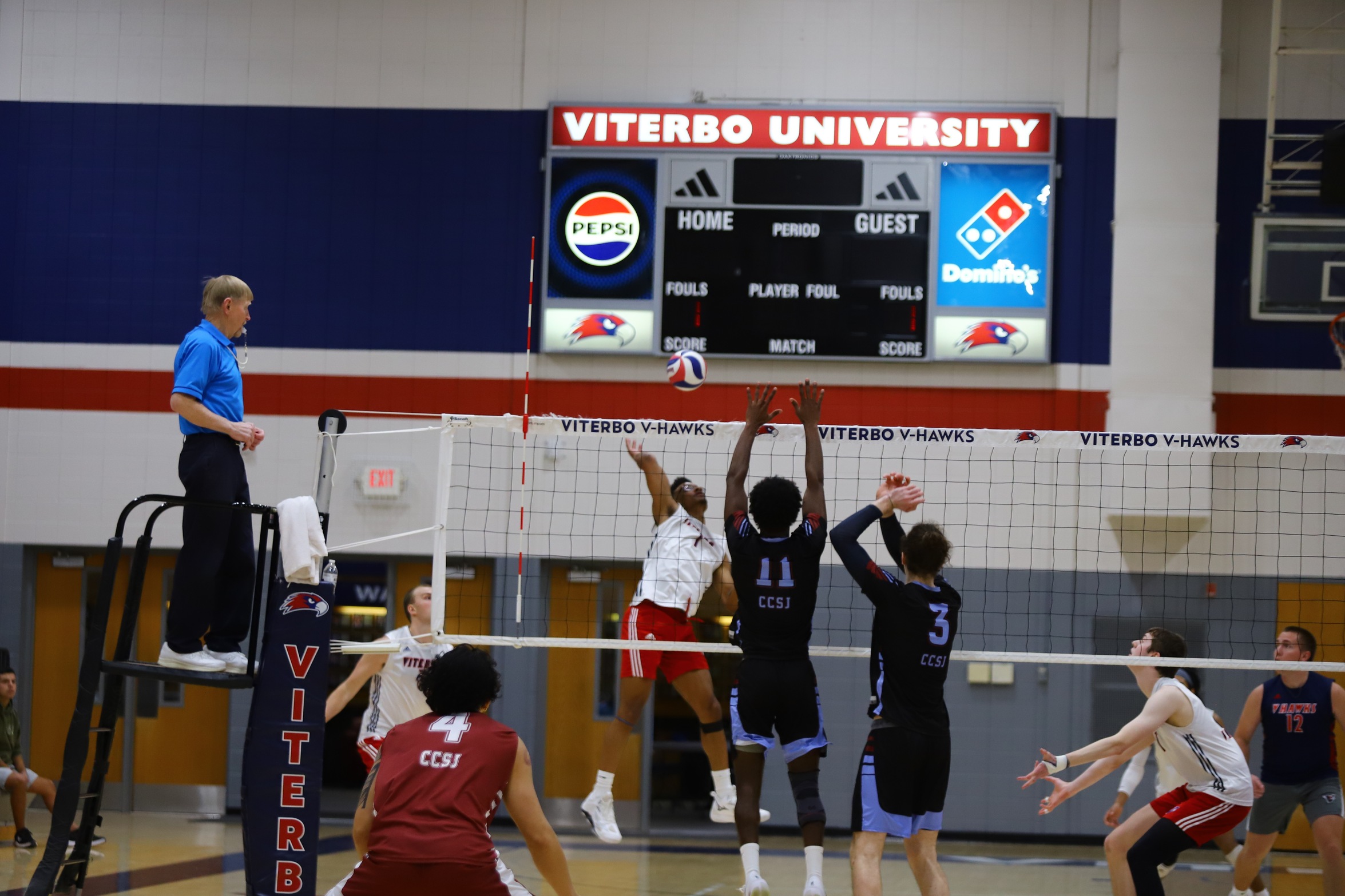 V-Hawks Finish Season in Five Set Thriller