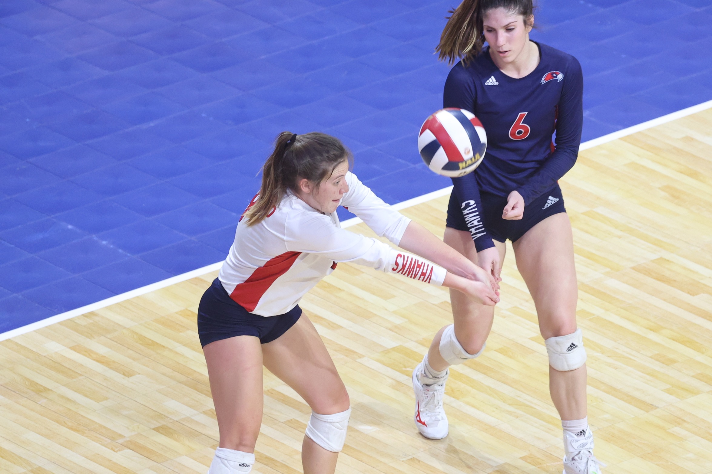 Volleyball Releases 2022 Schedule